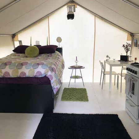 Vines And Puppies Glamping Hideaway Jade City Exterior foto