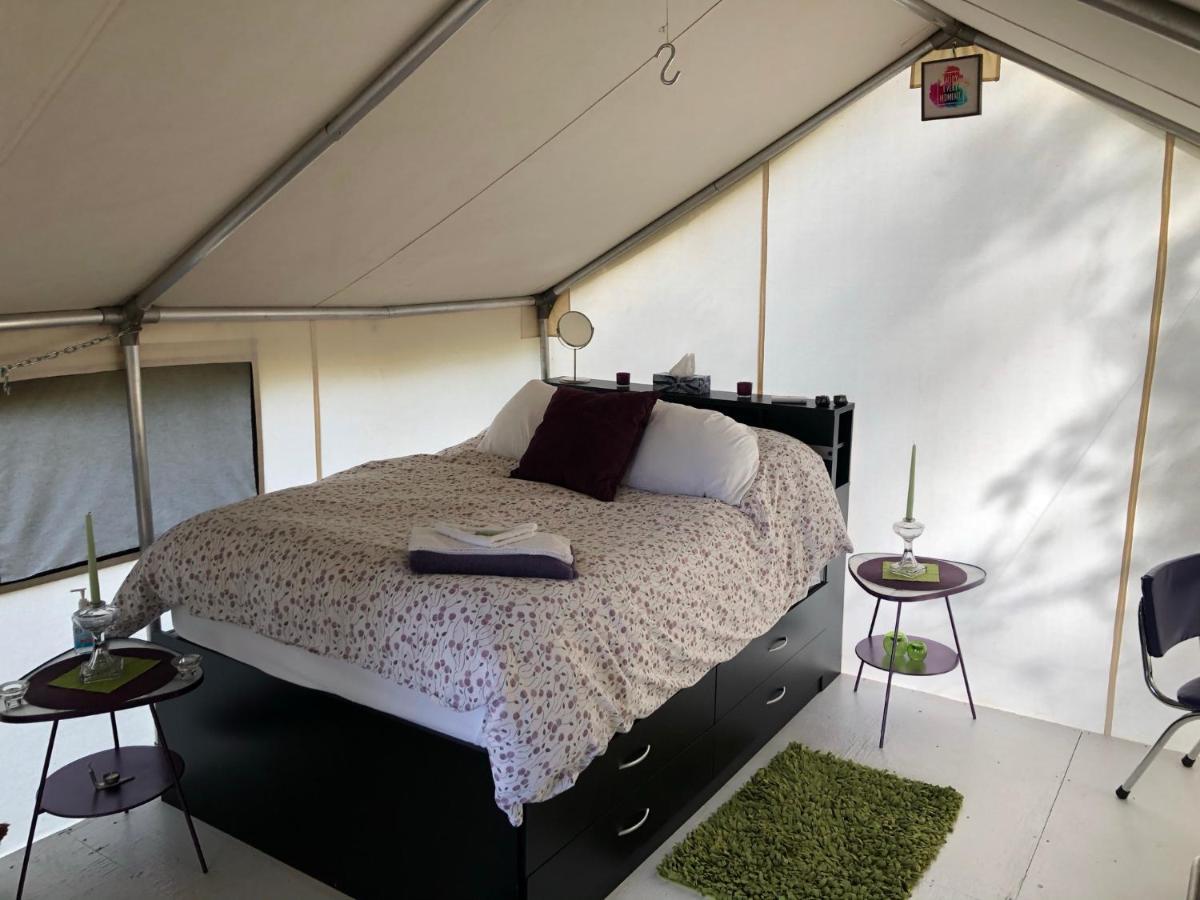 Vines And Puppies Glamping Hideaway Jade City Exterior foto